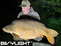 www.Bivylight.com "Das Original"